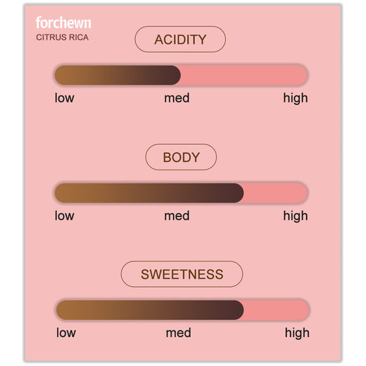 Citrus Rica - Specialty Instant Coffee